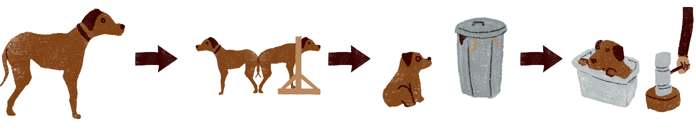 パピーミルのお仕事のイメージ